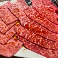 ゴードン (@7falxhunbg26331) 's Twitter Profile Photo