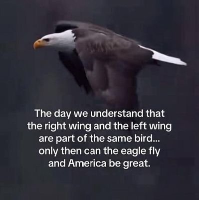 Steelers1017643's profile picture. Retired Fed, US Constitution 1st 🇺🇸