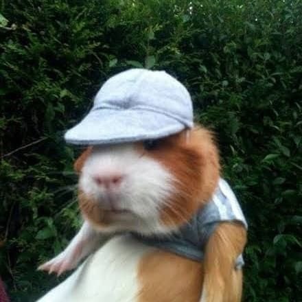 leticiacagnoni's profile picture. 