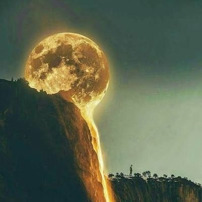 LwlwlwlBilal's profile picture. 