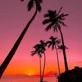 coumbadiop61880's profile picture. Chaque jour est une nouvelle chance