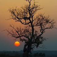 mariamsy875867's profile picture. Chaque jour est une nouvelle chance