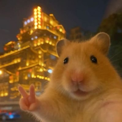 _ahfuu_'s profile picture. 
