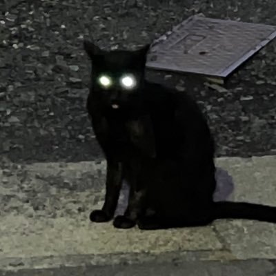 101__87chan's profile picture. おい、笑える