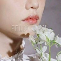 FELIX BASE (BACKUP) (@felixbase_) 's Twitter Profile