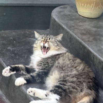 NuggsLifeCO's profile picture. Broncos+Nuggets+Avs+ Buffs Fan. 2 Time Shrute Beet Farms Employee of the Month Recipient.