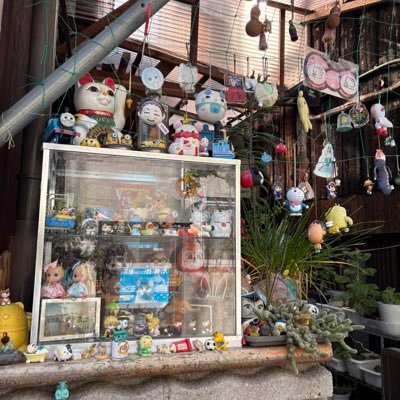 baiche532692's profile picture. 