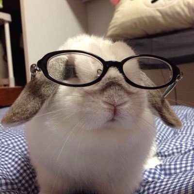 nanaforher's profile picture. 