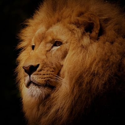 Toby_Juton's profile picture. ||sτοις||smαrτ||slεεκ||sαssγ||