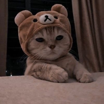 Sulphuric_07's profile picture. ~ہر وقت کا ہنسنا تجھے برباد نہ کردے، تنہائی کے لمحوں میں کبھی رو بھی لیا کر💔🥀👀🦋