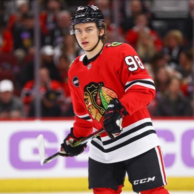 #BeHereForIt #DaBears #SeeRed #Blackhawks #WarEagle🦅 | Cubs and Blackhawks diehard | Bears and Bulls casual | NHL and MLB Prospect Nerd, DMs always open