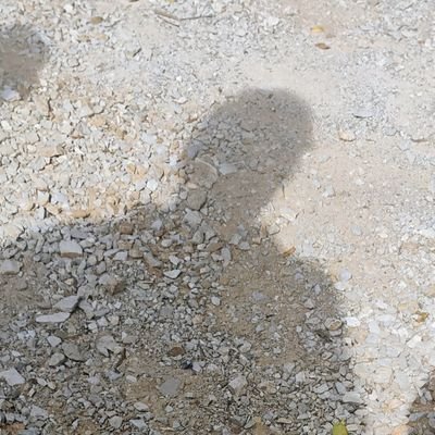 agemhard's profile picture. 