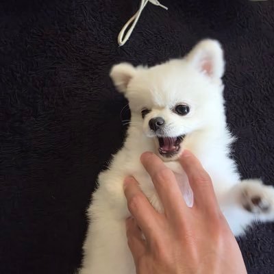 leeeoeop's profile picture. 2n살오타쿠🫥