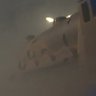MaxMan1245's profile picture. Modeler of digital funny trains, LNER J52/2 man, professional Bonmeister, may or may not remind you sometimes that they like non-train things
