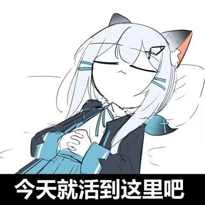 ZqYK18pcHP51516's profile picture. 