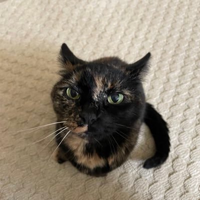 Type9133's profile picture. 