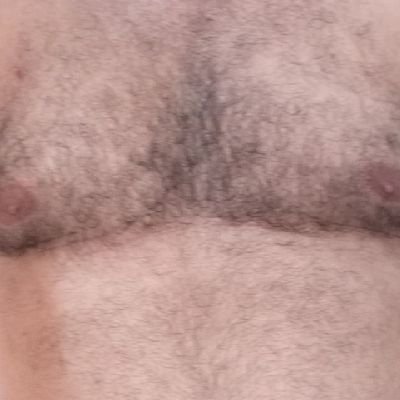PedroFe15161048's profile picture. Divertido