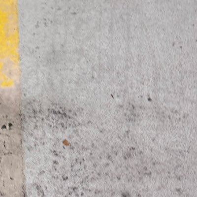 thun_derstruck's profile picture. 