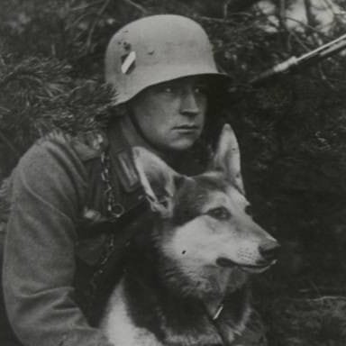 Germaniumtheman's profile picture. I like ww2
dum dum dum erika