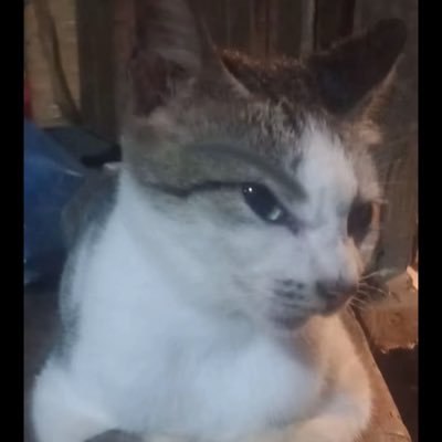 minfore94031's profile picture. 💎 GoMining addict ⛏️ | Patience, faith & hash power ⚡

Get started with this link! ⬇