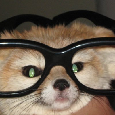 ddgjhsh17's profile picture. 