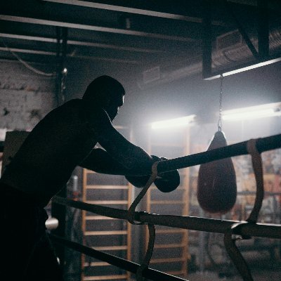 BoxxrRealist100's profile picture. 