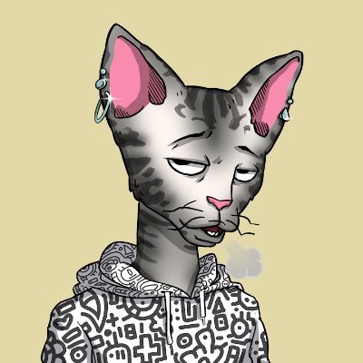 MGraig99018's profile picture. 