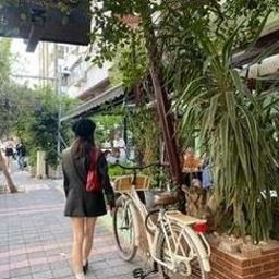 Irdrirmawk3137's profile picture. 海の波に癒されながら歩く