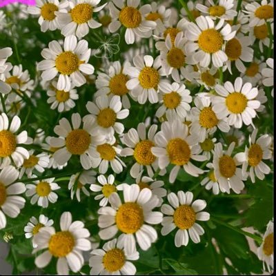 غَمــرَنِـــي ربّـِــي بألطــافِـــه 🌦♡وصيـتــي ( يَا قَوْمَنَا أَجِيبُوا دَاعِيَ اللَّهِ وَآمِنُوا بِه)