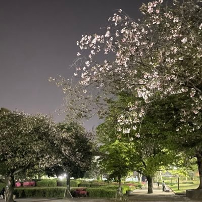 nyanyaneko28's profile picture. Creator / 慶應 X‐Design