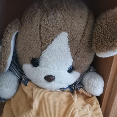 白玉団子🍄さんのプロフィール画像