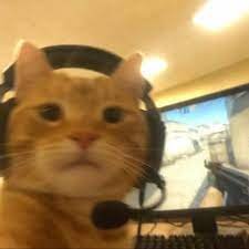 If i follow u then ur fucking raging homosexual
block me i own u lol
follow = follow back
Old Acc LegendIsTrue_ with 5k followers