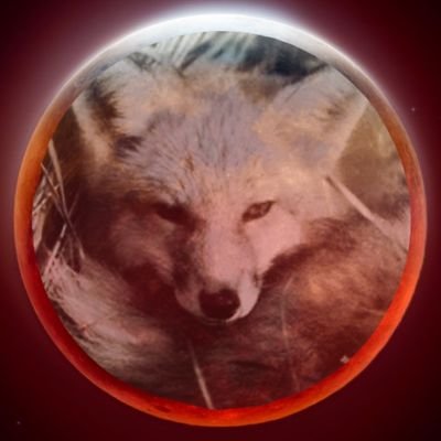 ✝️Father/Husband, Grows Product & Services teh Permaculture way, Computing Scientist & Anarchist. FOSS BDFL https://t.co/kkgdRBIElB & https://t.co/26IpHX4Go4