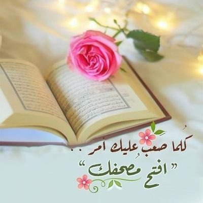 JosephShat43666's profile picture. 