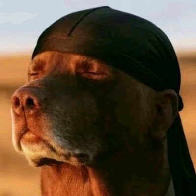 DiamondDawg96's profile picture. I just be chillin