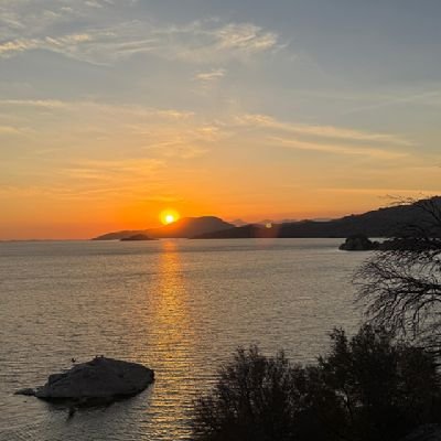 xomkt5's profile picture. 