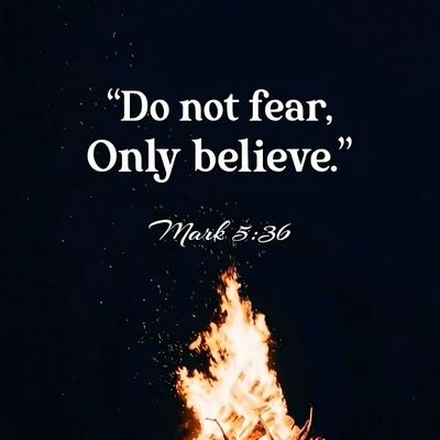 emeka_wins's profile picture. Financial assets trader📈 ||

Always a student ready to learn💪 ||

May GOD bless and protect me🙏🏽