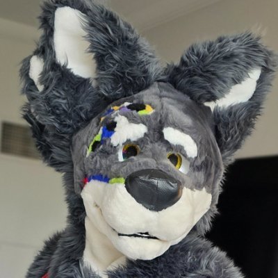 after dark account for CANID MEDIA
Pupper fursuiter/maker suits made by me
Expect 18+ topics and reposts here, if you are under 18 you will be removed
23