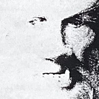 GHOST WOLF (@ghostwolfnft) 's Twitter Profile