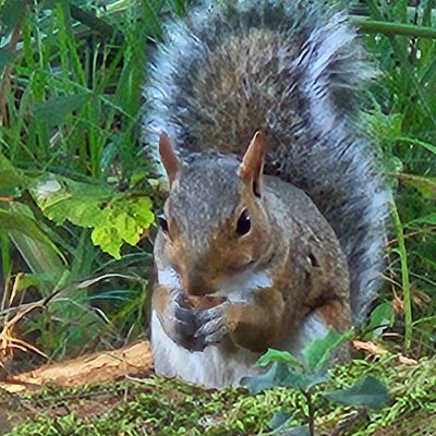 PaulW8989's profile picture. 