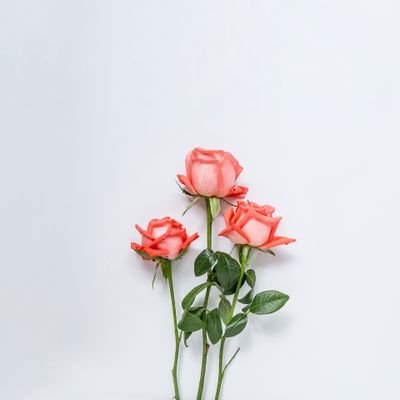 imelda_nnenda's profile picture. 