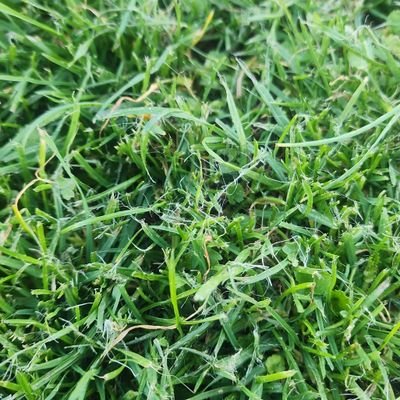 Maracucho3001's profile picture. No hay mucho que decir...