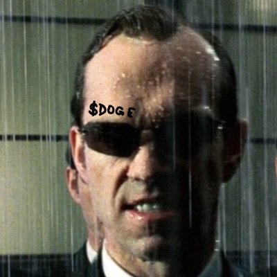 inumoneymax's profile picture. what is a perfect human world?