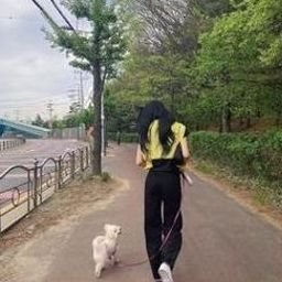 Uvwucau9928412's profile picture. 