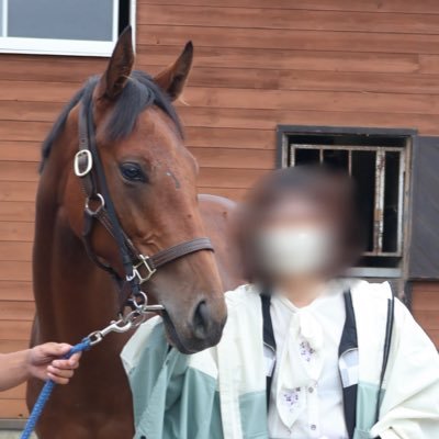 20↑/よく札幌競馬場に出没するネキ/広尾一口馬主1年生!!/馬券は自己責任︎です^_^/写真垢📷´-▶︎@photo_umakasu/リットリンク🔗▶︎https://t.co/yyv3qA3HGF