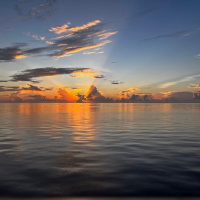 Waztern's profile picture. 