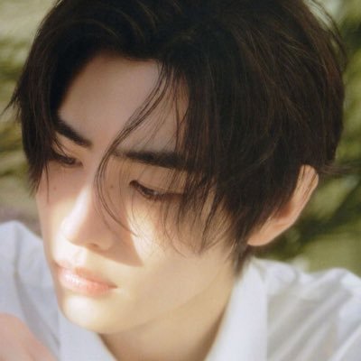 pwarkstars's profile picture. ㅤㅤㅤ⠀ ⠀ ⠀ ⠀ ⠀sunghoon’s official girlfriend ˖⊹ ࣪ ˖⋆ 😸