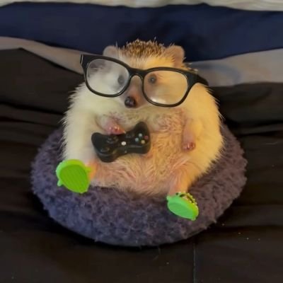 dill238's profile picture. he/him || PolSci Stud'23 ||
COLLEGE TWT
YAPPING TWT
SAMBAT
MARAH2
NANGIS2
DISINI SEMUA