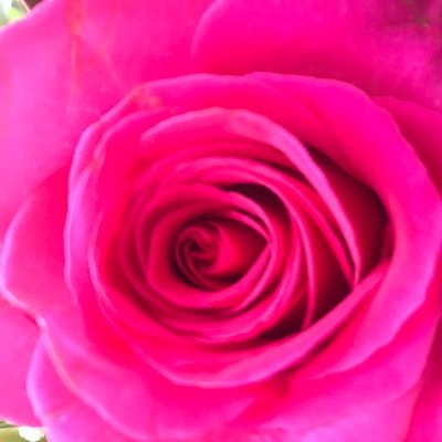 alisa_vergara1's profile picture. There's only one Me!