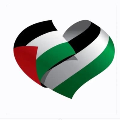 Mariofredynuez2's profile picture. 